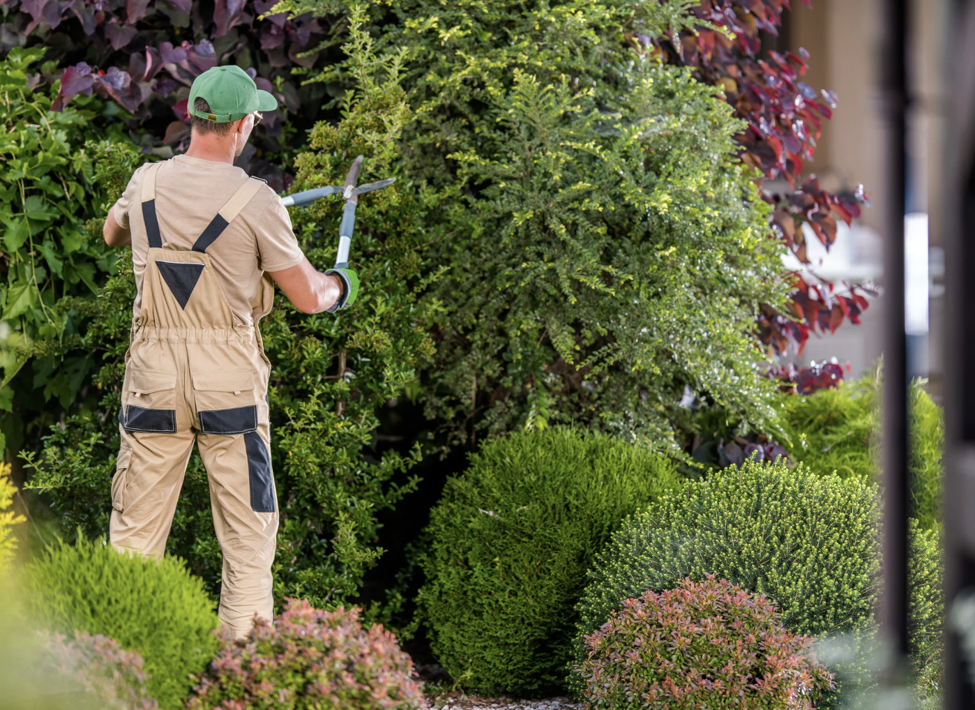 Servicio económico de mantenimiento de jardines particulares